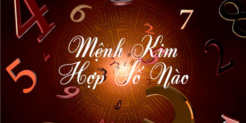 Số hợp nhất